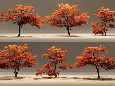 Multiple Arbor Trees With Vibrant Orange Red Autumn Leaves And Shady Canopy 3d model
