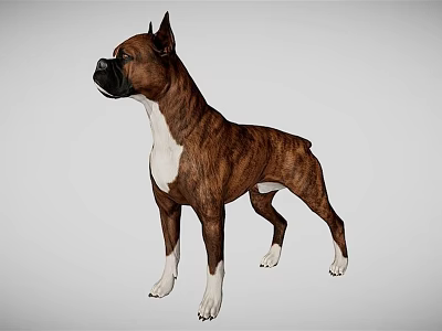 The Modern Dog 3d model