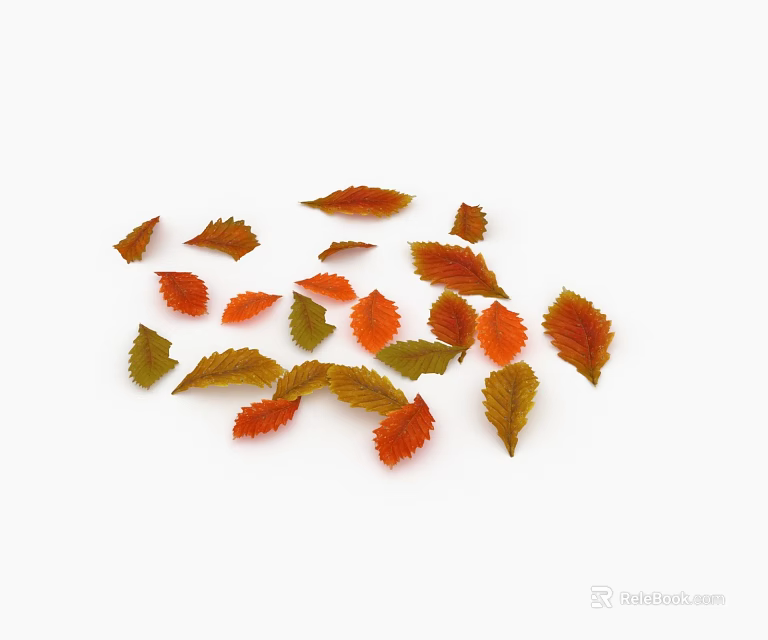 Ground Cover Leaves in Orange Red and Green Colors Scattered on White Background 3d model 