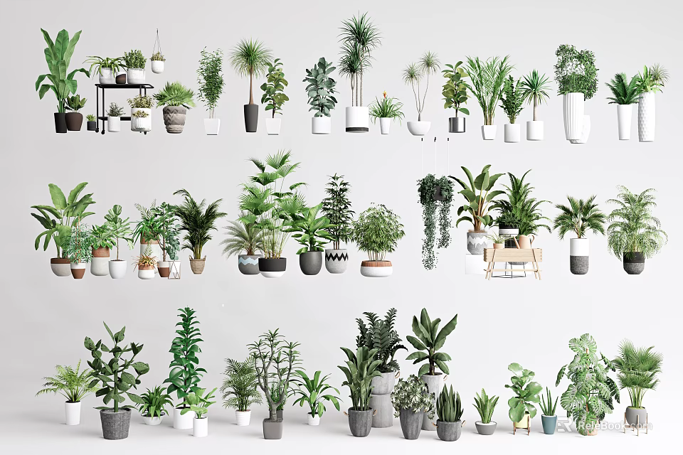 Bonsai and Potted Plants Collection With Various Species And Different Pot Styles Neatly Arranged 3d model 