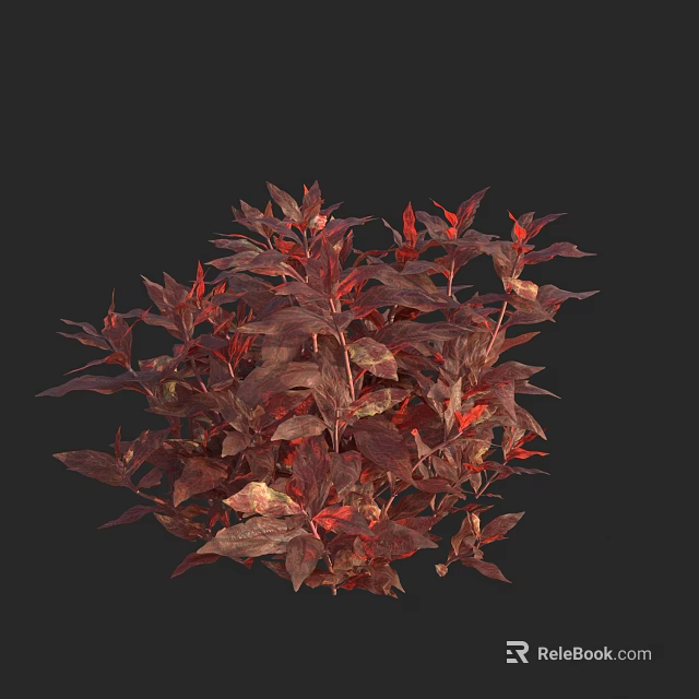 Vibrant Red And Deep Red Leaves On Lush Ornamental Plant For Decor 3d model 