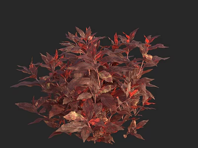 Vibrant Red And Deep Red Leaves On Lush Ornamental Plant For Decor 3d model