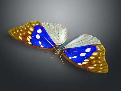 Vibrant Game Movie Character With Blue Yellow Wings And White Spots In 3D Render Design 3d model