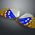 Vibrant Game Movie Character With Blue Yellow Wings And White Spots In 3D Render Design