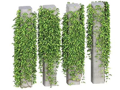 Lush Green Vines Growing On Gray Concrete Pillars With Leafy Foliage 3d model