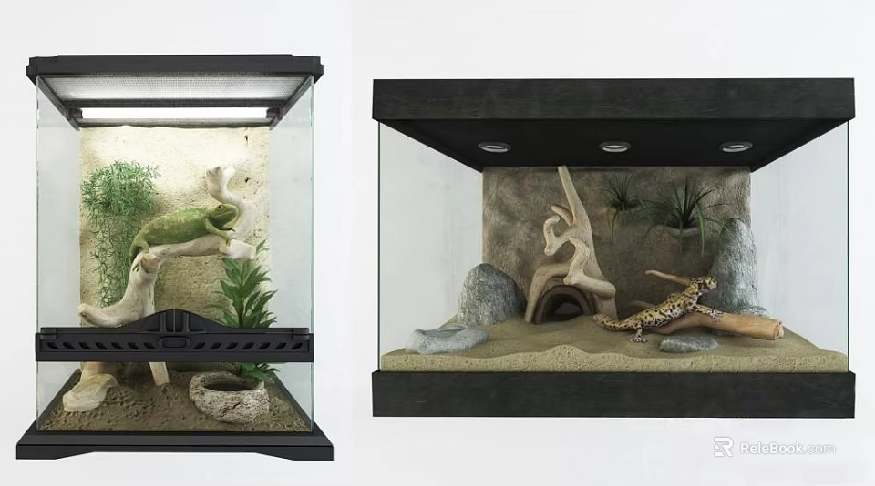 Two Reptile Vivariums With Plants Branches Stones Sand And Pet Reptiles 3d model 