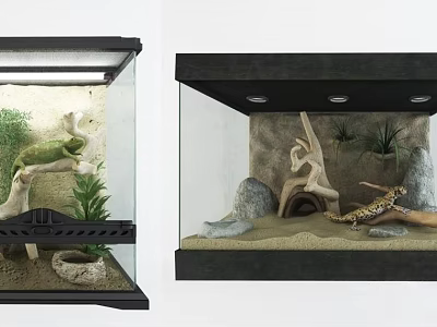 Two Reptile Vivariums With Plants Branches Stones Sand And Pet Reptiles 3d model