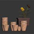 Sunflower Plant In Brown Pot With Stacked Terracotta Pots Of Various Sizes