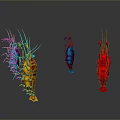 Vibrant Colored Aquatic Animals with Tentacles and Fins Structure on Gray Background with Reflections