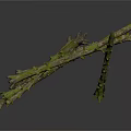 Rustic Dry Branches Covered With Vibrant Green Moss And Small Twigs