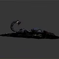 Detailed Dark Scorpion With Curved Tail Resting On Natural Stone Surface 3d model