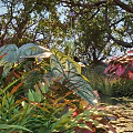 Tall Trees Surrounded by Lush Greenery Large Leaves Red Foliage and Water Reflections