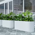 Stylish Garden Accent With White Rectangular Planter And Tropical Green Plants 3d model