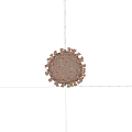 Highly Detailed 3D Model of Virus Structure With Spike Proteins