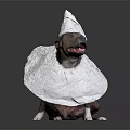 Playful Dog With White Cone Headgear And Body Wrap On Dark Background