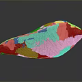 Organ And Hair Like Features On Striped Shell With Smooth Textured Surface