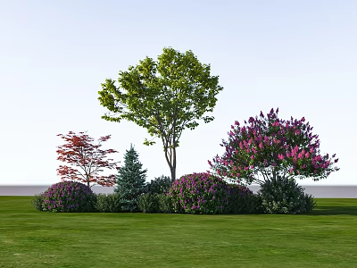 Trees With Red Leaves Purple Flowers Pine Tree And Shrubs In Lawn Garden Landscape 3d model