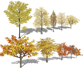 modern tree landscape tree deciduous tree 3d model