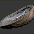 Shellfish With Reddish Brown Textured Shell Featuring Natural Sheen On Dark Reflective Surface