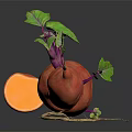 Whole Sweet Potatoes With Green Leaves Roots And Sliced Piece On Dark Background