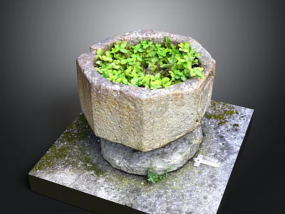 Small Green Plants Growing in Stone Hexagonal Planter on Square Mossy Stone Platform 3d model