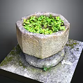 Small Green Plants Growing in Stone Hexagonal Planter on Square Mossy Stone Platform 3d model
