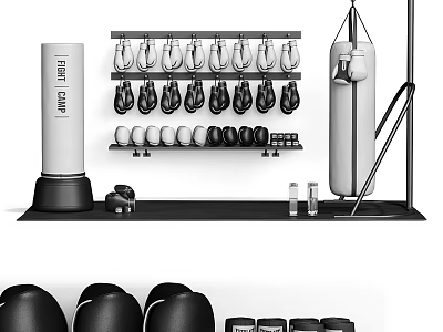 Home Fitness Training Equipment Setup With Boxing Gloves Punching Bag And Dumbbells For Workout 3d model