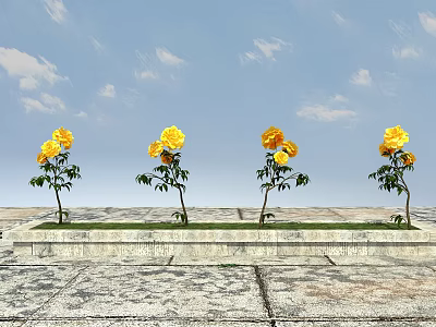 Yellow Flowers With Green Leaves On Four Stone Platforms Against Blue Sky And White Clouds 3d model