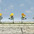 Yellow Flowers With Green Leaves On Four Stone Platforms Against Blue Sky And White Clouds