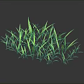 Fresh Lush Green Grass With Reflection On Dark Background Surface