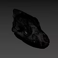 Detailed Animal Skull Anatomical Structure With Visible Teeth On Gray Background