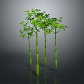 Green Bamboo Plants with Lush Green Leaves and Tall Straight Stems