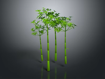 Green Bamboo Plants with Lush Green Leaves and Tall Straight Stems 3d model