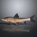 Realistic Silver Gray Fish Figurine As Household Decorative Item With Black Fins And Tail