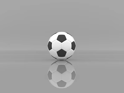 High Quality Black And White Soccer Ball With Reflective Surface For Training 3d model