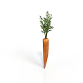 Fresh Raw Carrot With Green Leafy Tops Isolated On White Background