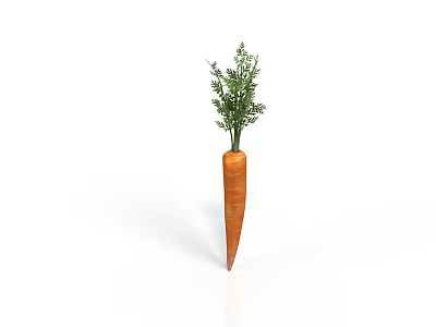 Fresh Raw Carrot With Green Leafy Tops Isolated On White Background 3d model Fresh Raw Carrot With Green Leafy Tops Isolated On White Background 3d model