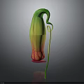 Distinctive Colorful Plant Featuring Green Yellow Red Gradient Curved Structure And Long Stem