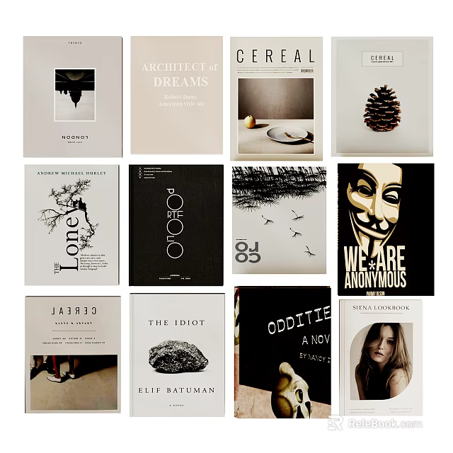 Collection of Various Books and Magazines with Artistic Cover Designs and Creative Graphics 3d model 