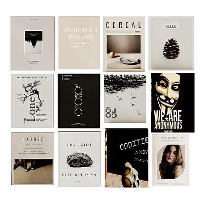 Collection of Various Books and Magazines with Artistic Cover Designs and Creative Graphics 3d model