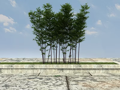 Tall Green Bamboo Growing On Stone Platform With Blue Sky White Clouds And Grassy Area 3d model
