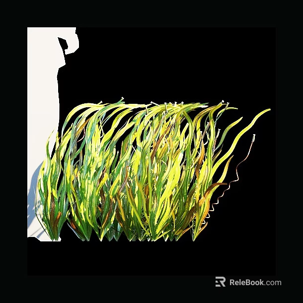 Fresh Vibrant Green and Yellow Aquatic Plants with Long Curved Leaves 3d model 