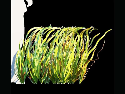Fresh Vibrant Green and Yellow Aquatic Plants with Long Curved Leaves 3d model