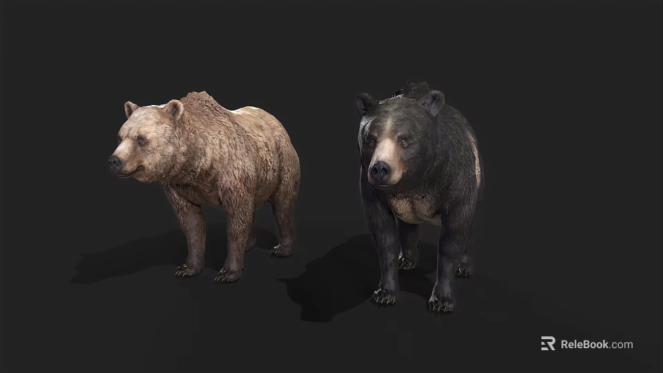 Realistic 3D Brown Bear And Black Bear Models Standing On Dark Background 3d model 