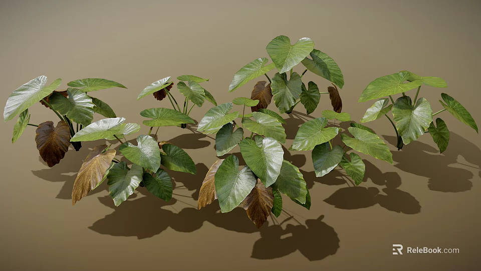 Lush Green and Brown Plant Leaves With Large Visible Veins and Shadows on Brown Background 3d model 