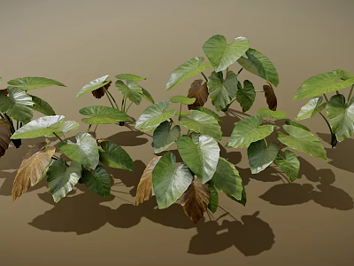 Lush Green and Brown Plant Leaves With Large Visible Veins and Shadows on Brown Background 3d model