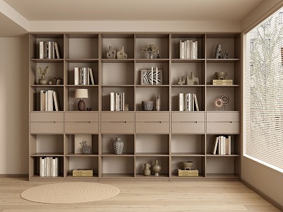 Middle Style Bookcase model