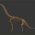 Realistic Dinosaur Skeleton 3D Model Featuring Long Neck Gray Background And Wooden Color