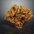 Vibrant Yellow Coral Polyps Marine Animal With Branched Textured Structure On Dark Background