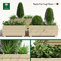 Decorative Ornament Set With Wooden Planters Green Plants And Various Foliage